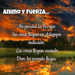 国产精品㊙️ThePorn
