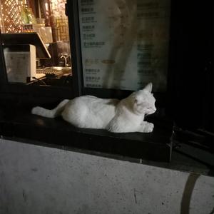 国产精品㊙️ThePorn
