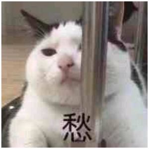 国产精品㊙️ThePorn
